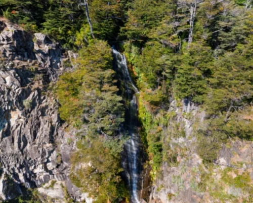 Salto El León